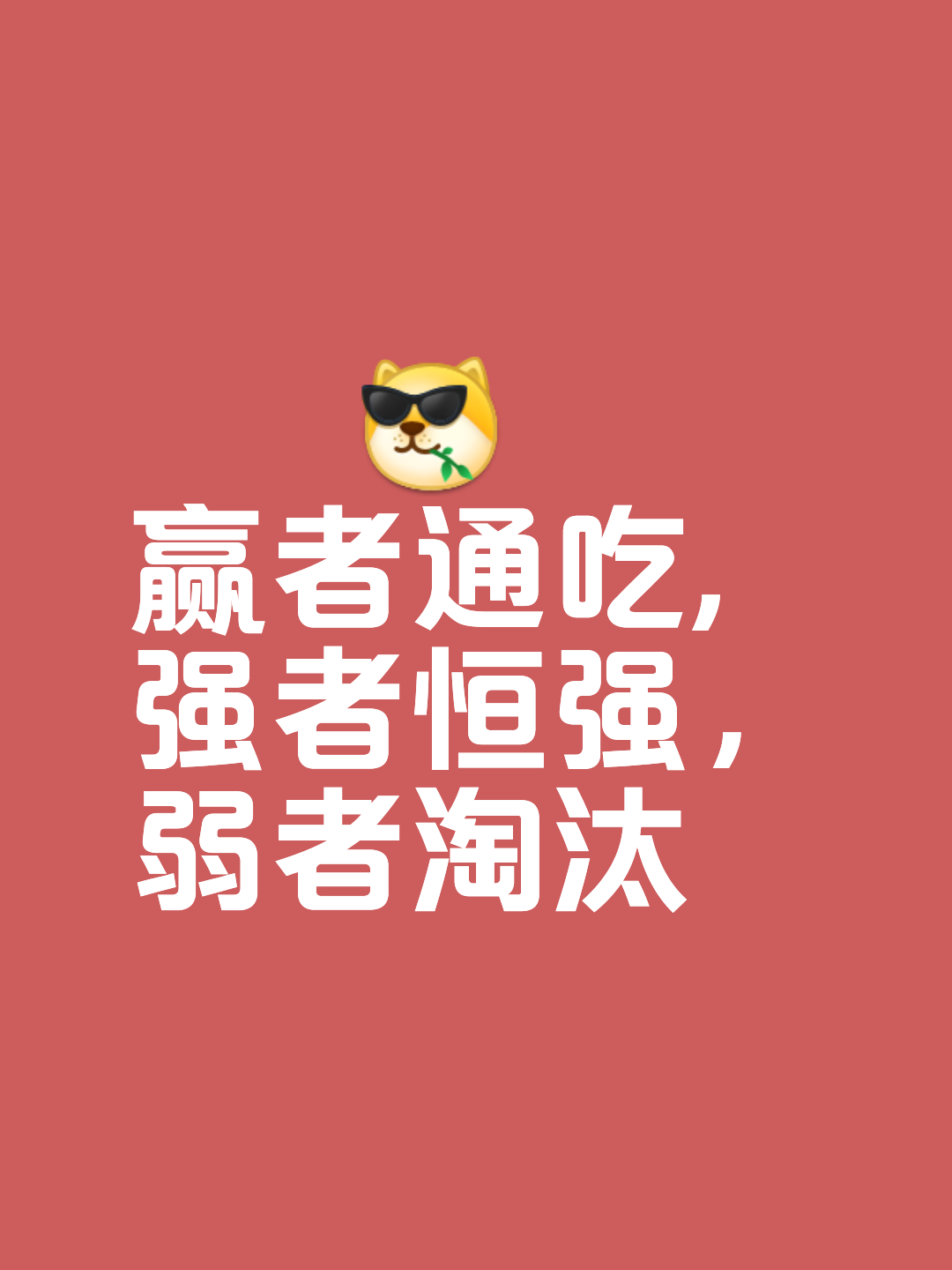 包含激烈角逐中产生的赢家，实力全面展现的词条
