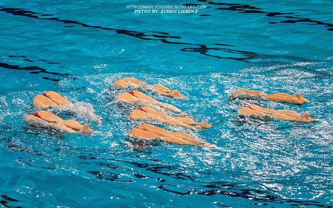 开云体育-斯洛伐克选手在游泳比赛中获奖